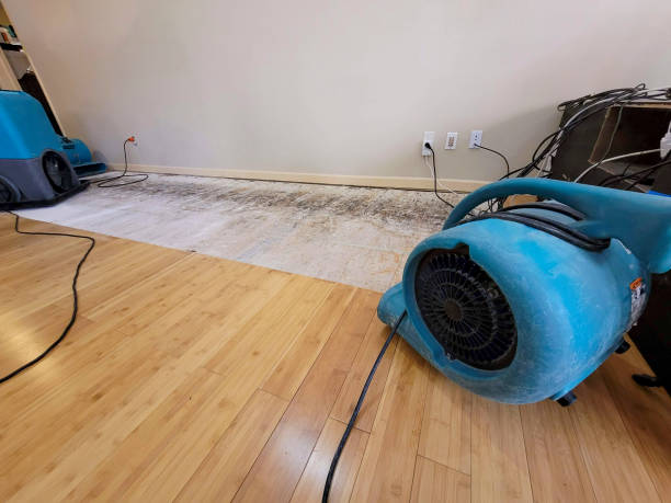 Professional Water Damage Repair technician working in Roselle, NJ